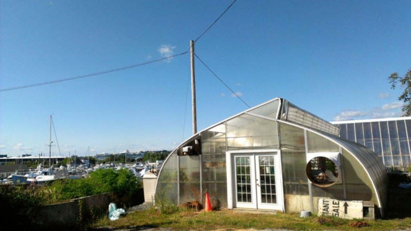 Greenhouses for Good: Enactus Can Dig It