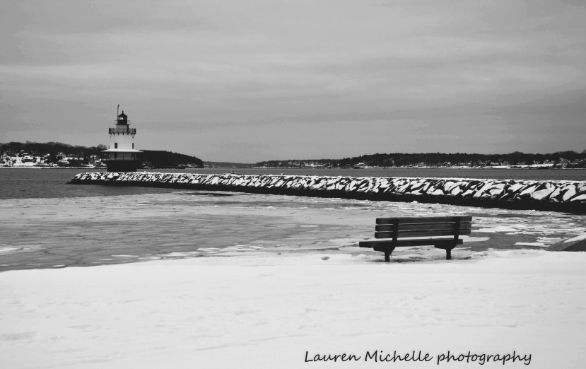 Student Interviews:  Contemplations on  the Snow