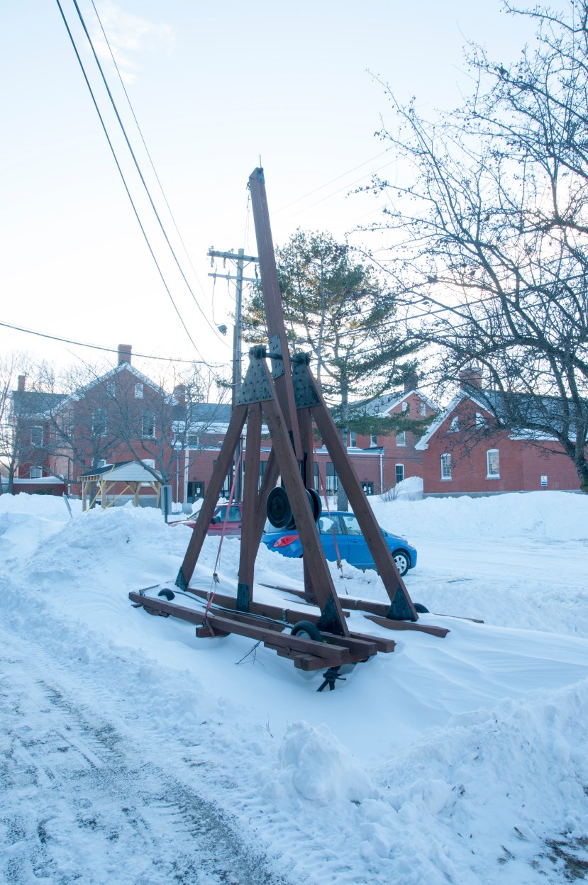 The Arctic Warriors of the Spring Semester