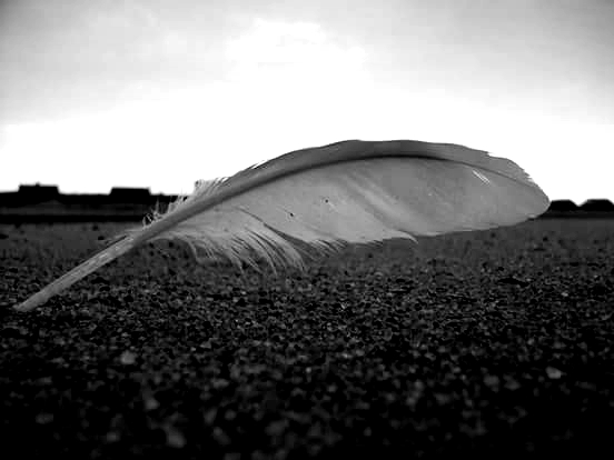 Seeing The Unseen: An ASTEP photo series