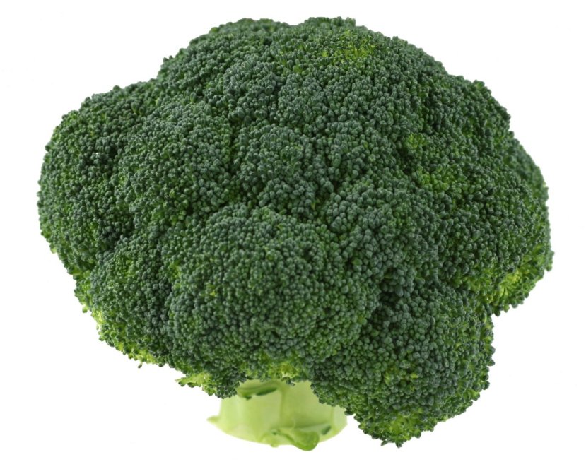broccoli01-lg