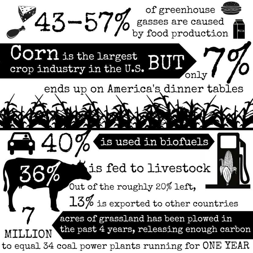 Big Corn, Bad Corn: How Our Nation’s Biggest Crop Industry is Bad For Our Environment