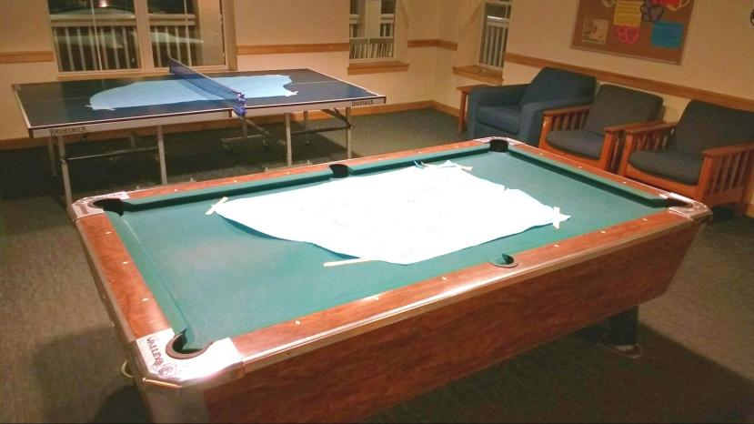 Billiards Ban Cuts Deep at Spring Point