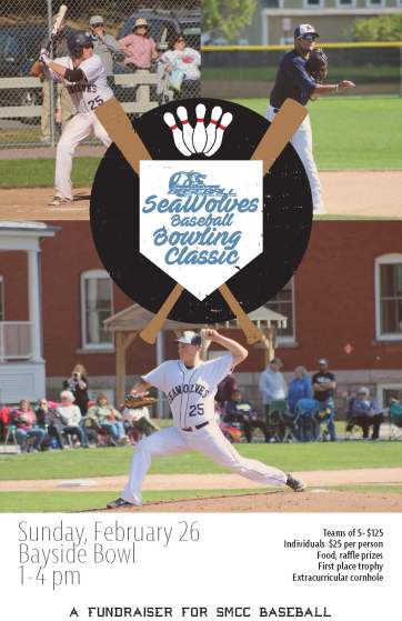 %e2%9c%93baseball-bowling-psa