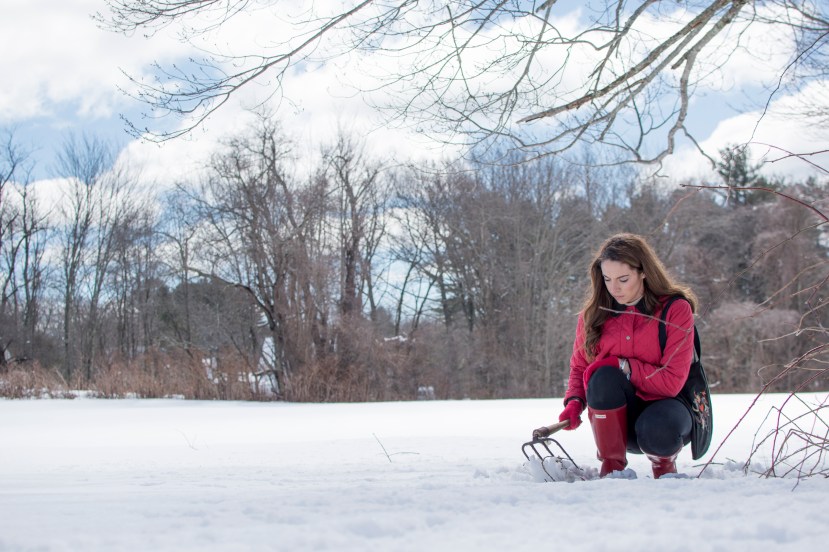 Lights, Camera, Mayhem!