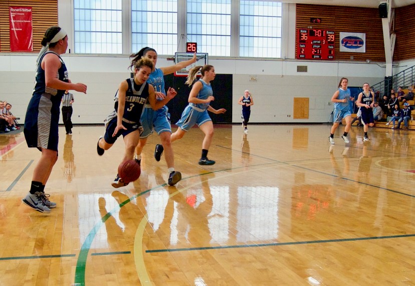 SeaWolves Go 3-1 in CanAm, Start 2017-18 Season With High Expectations