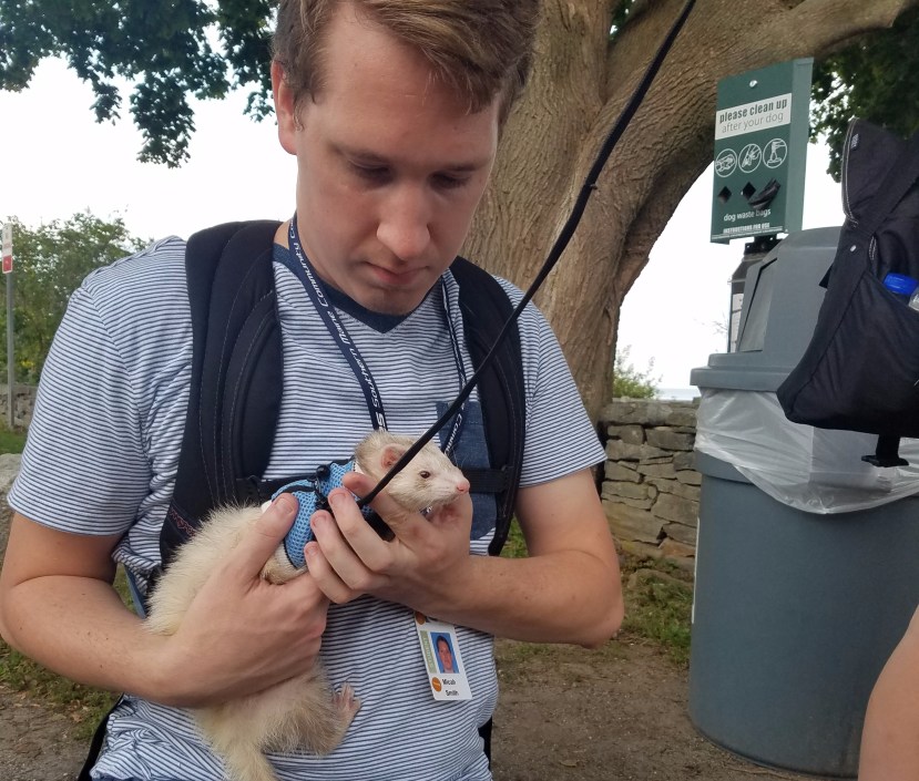 What’s the Deal With Animals at SMCC?