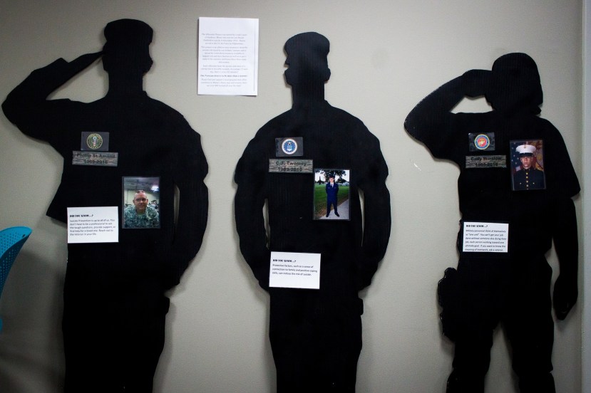 The Silhouette Project: The Stories Behind the Numbers