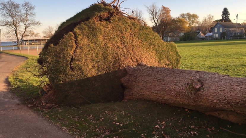 Those We Must Appreciate