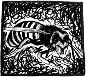 Screen Shot 2019-11-24 at 8.12.42 PM