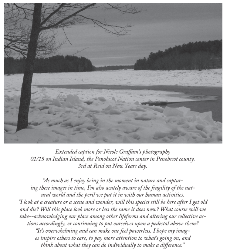 Screen Shot 2020-02-03 at 9.51.09 AM