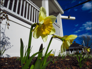 Screen Shot 2020-04-15 at 11.18.21 AM