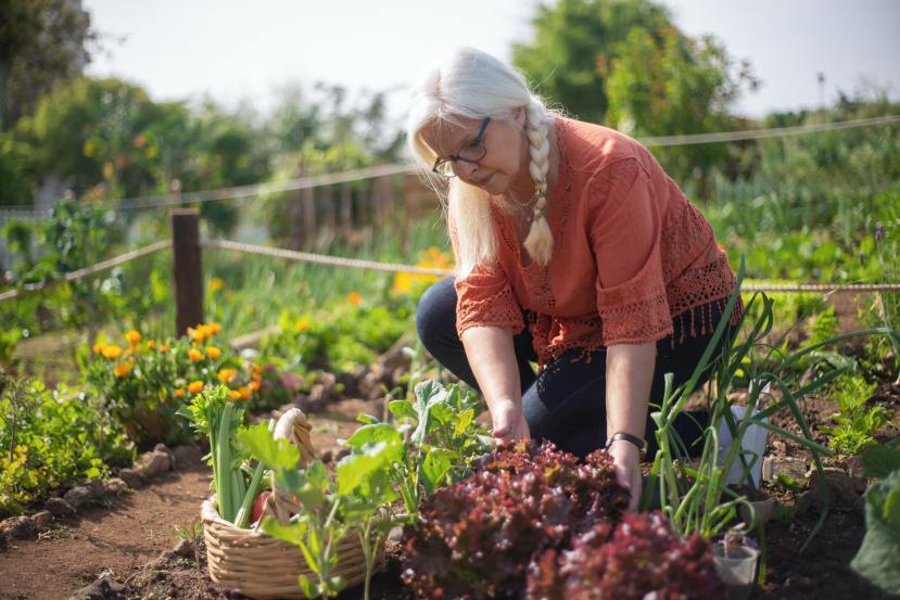 With Winter Fast Approaching, Here’s How to Care for Your Garden