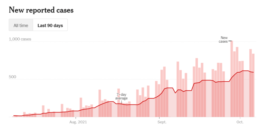 Quick Update on All Things COVID 19