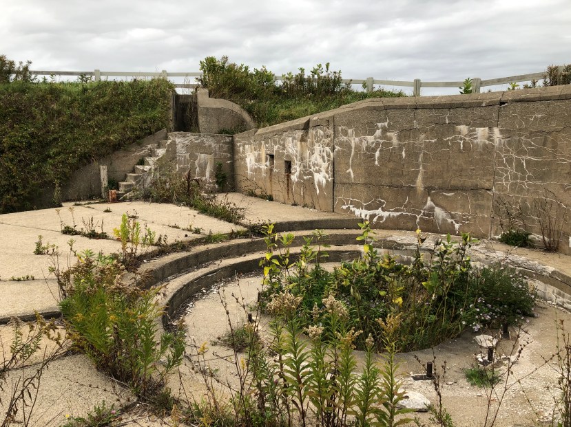 Opinion: Stumbling Toward Progress