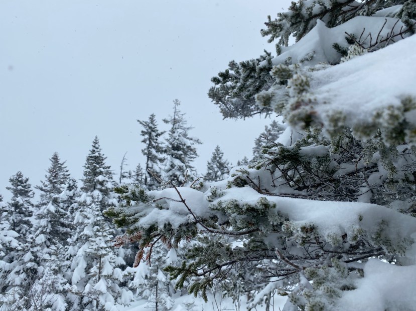 Unpredictable Weather Leaves Skiers Dazed and Confused.