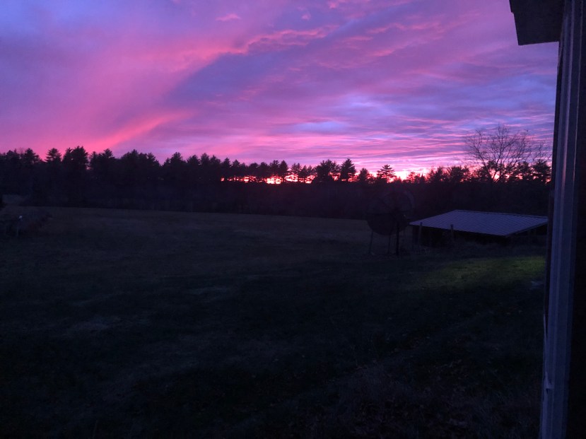 Featuring Photography and Poetry