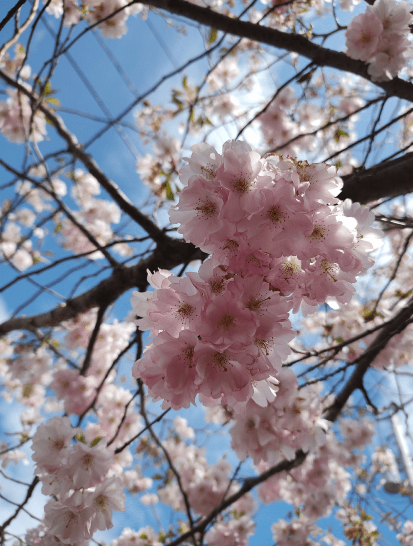 Featuring Christopher and Suzanne’s images