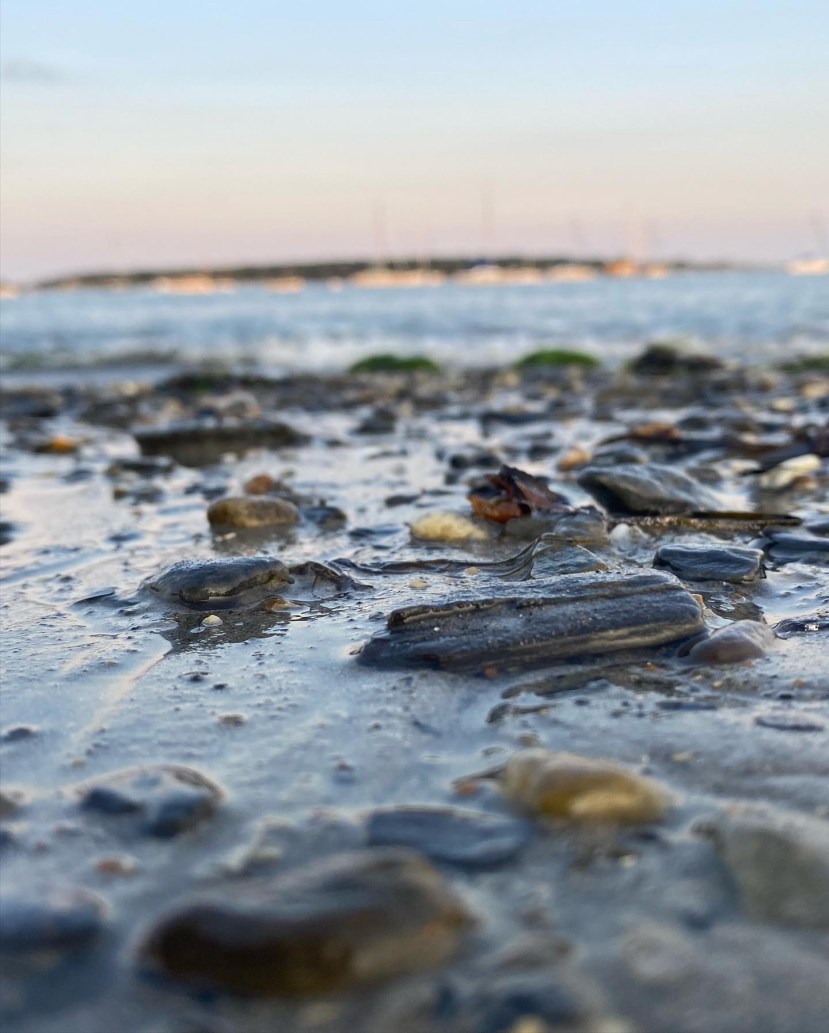 Willard Beach: SMCC’s Hidden Gem