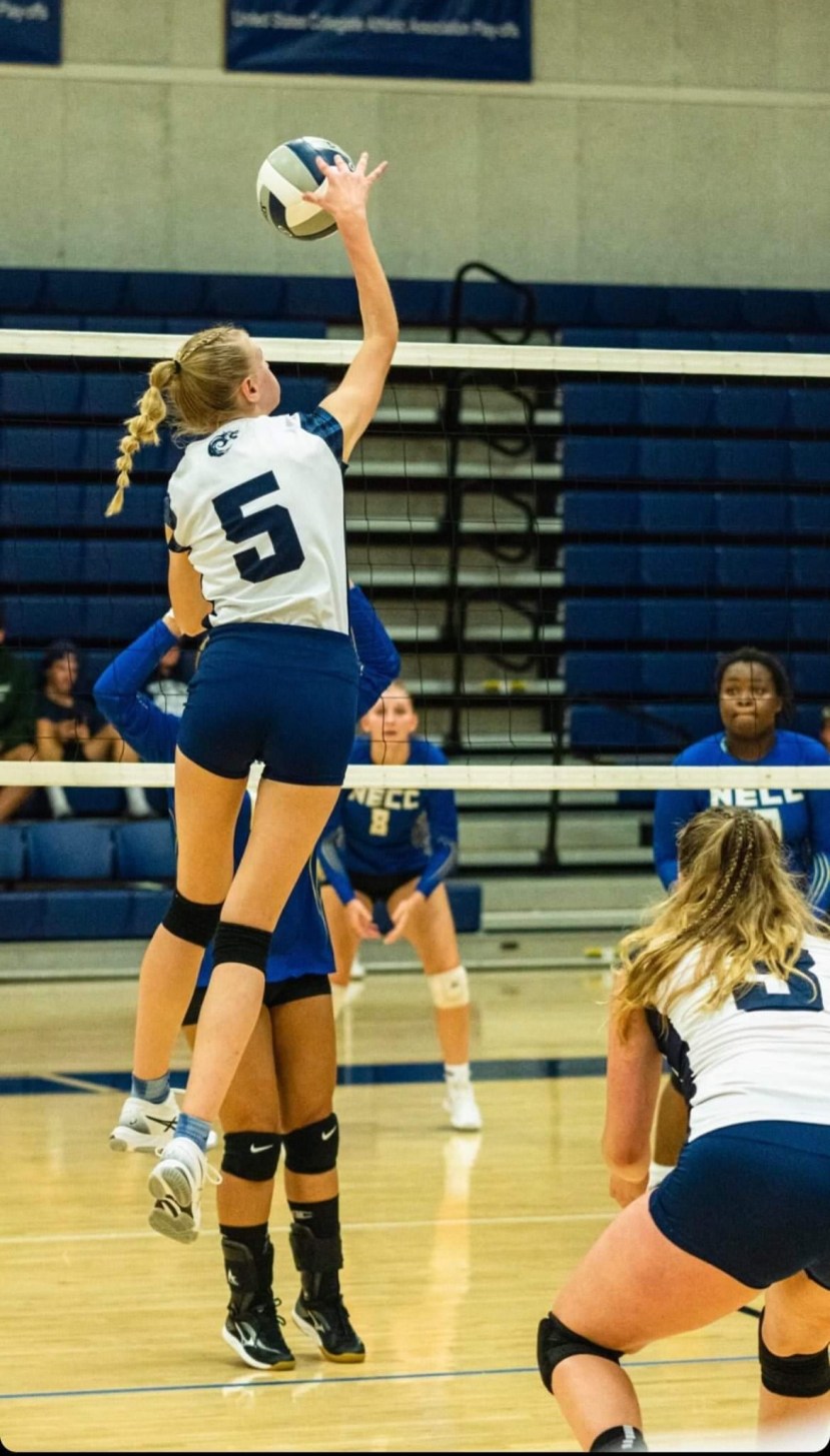 From the Grass to the Hardwood 