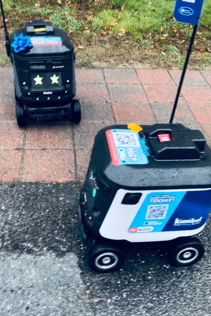 (Opinion) Robots and Their Role in our Future