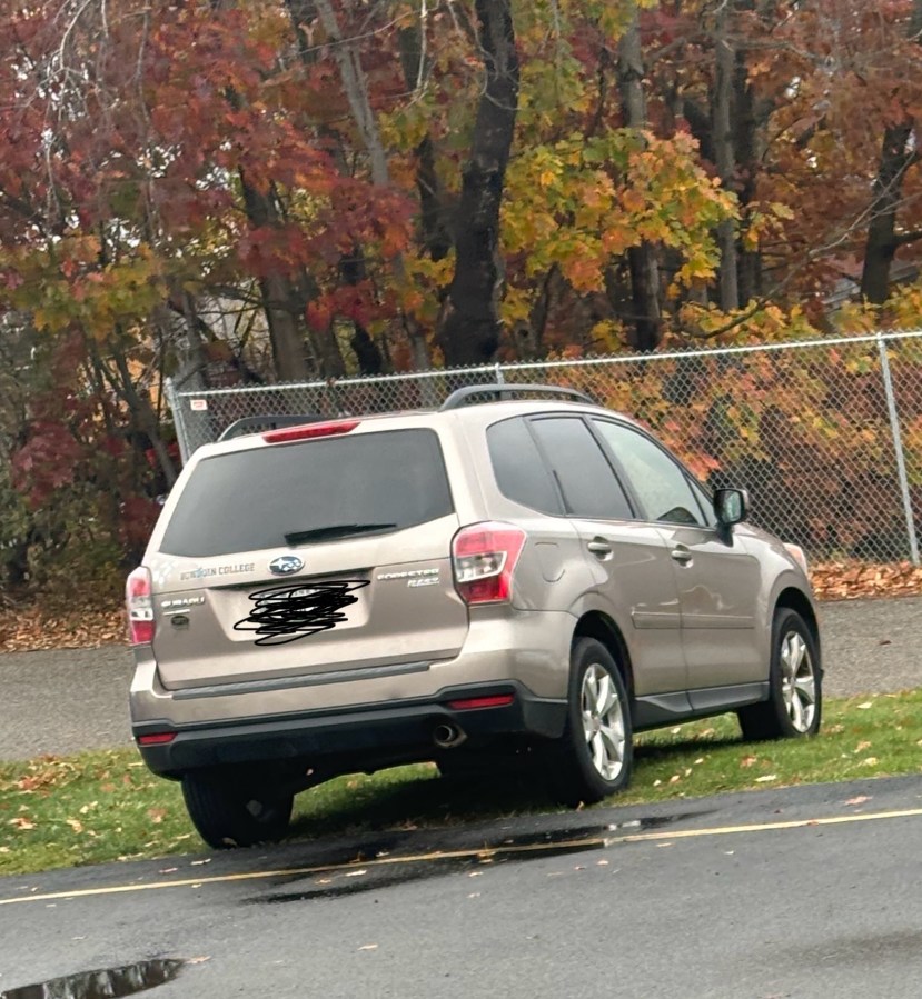 FauxPark or No Park?