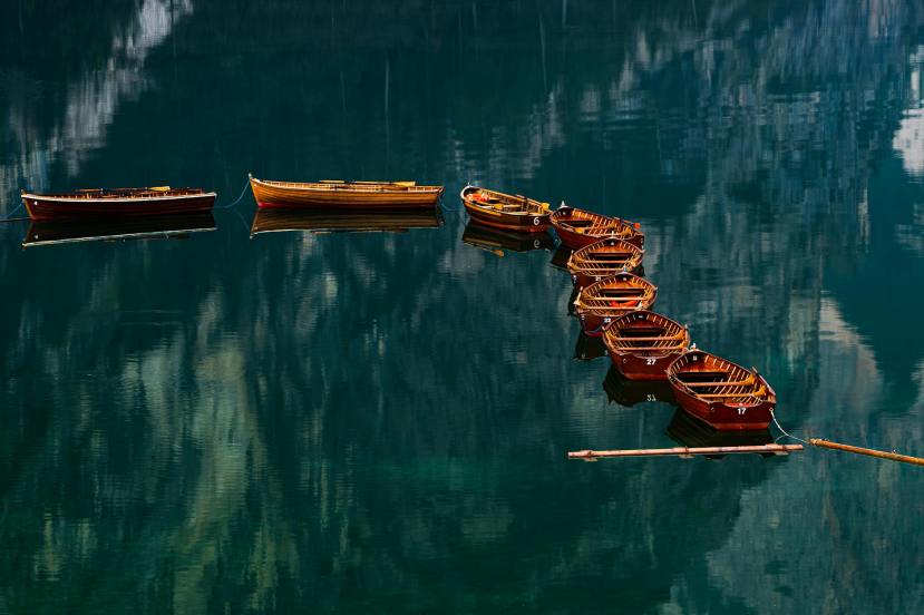 Local Mainers Take to the Sea in Protest